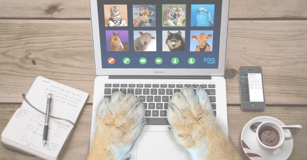 how to choose an internet service plan