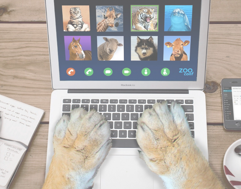 how to choose an internet service plan