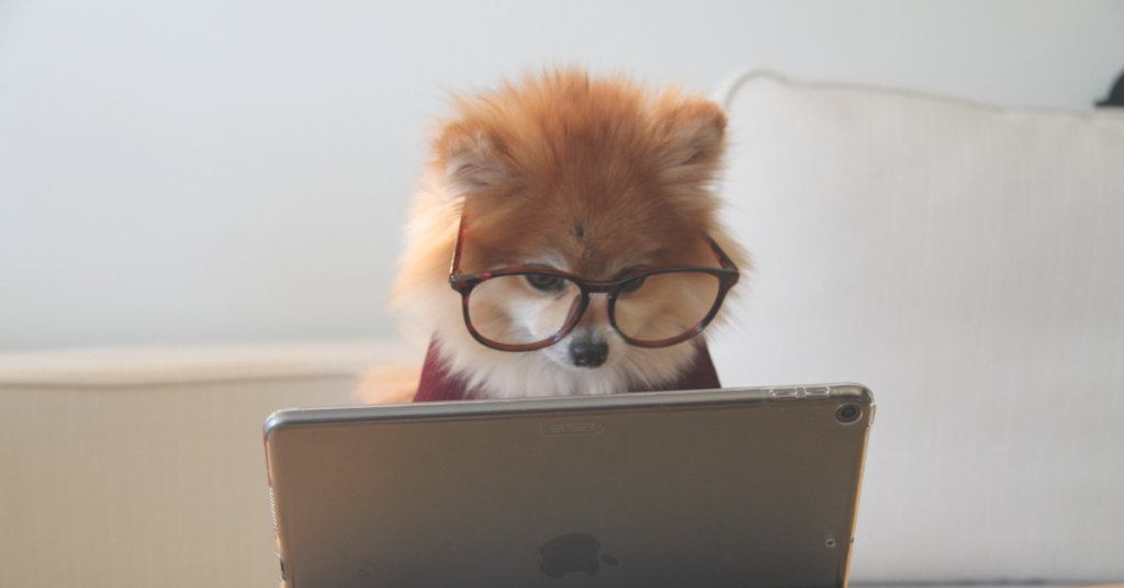 malware and virus prevention