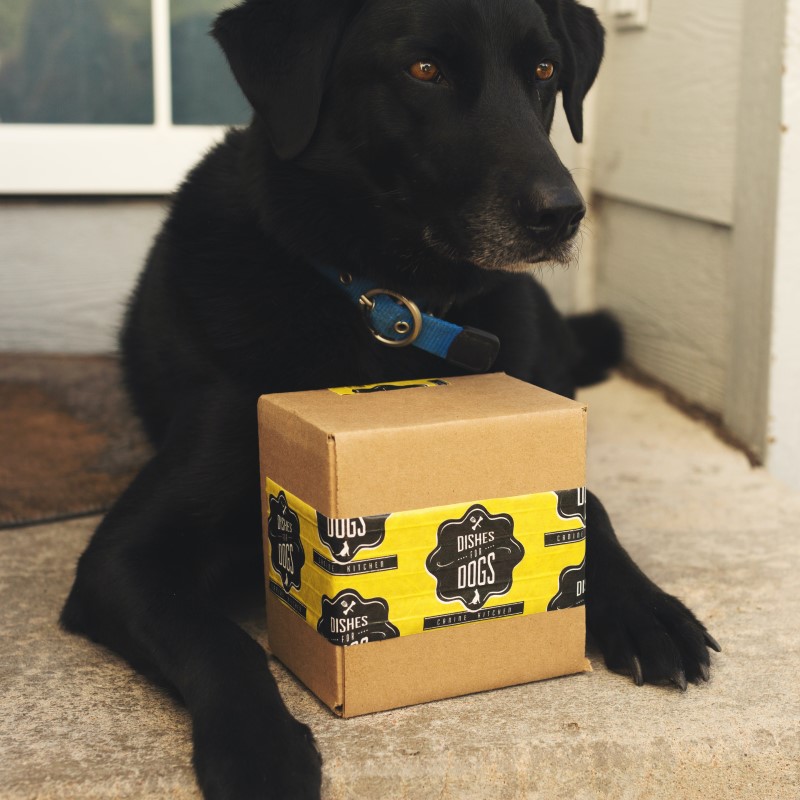 ecommerce delivery of pet supplies with happy dog