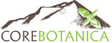 Core Botanica Logo